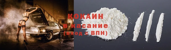 амф Гусь-Хрустальный