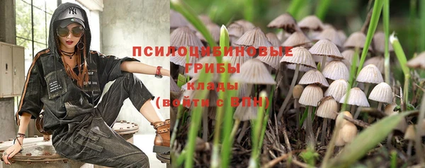 соль курить ск Зеленодольск