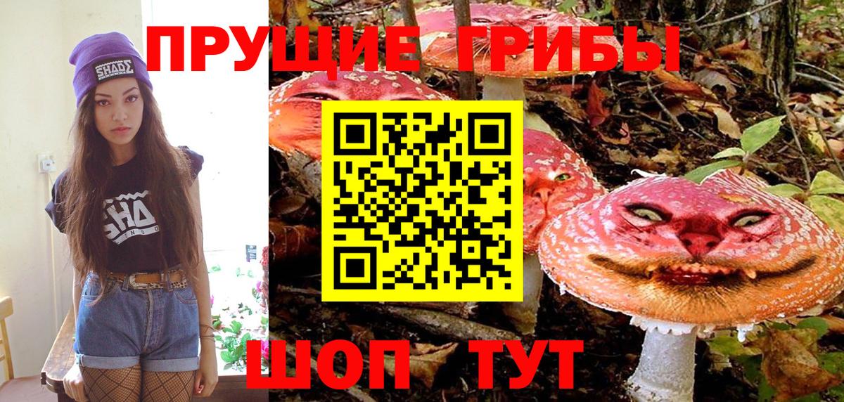 Галлюциногенные грибы ЛСД Георгиевск