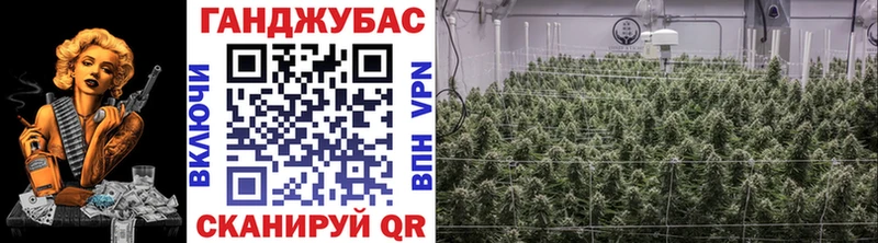 дарнет шоп  Георгиевск  Бошки Шишки марихуана 